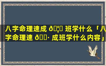 八字命理速成 🦊 班学什么「八字命理速 🌷 成班学什么内容」